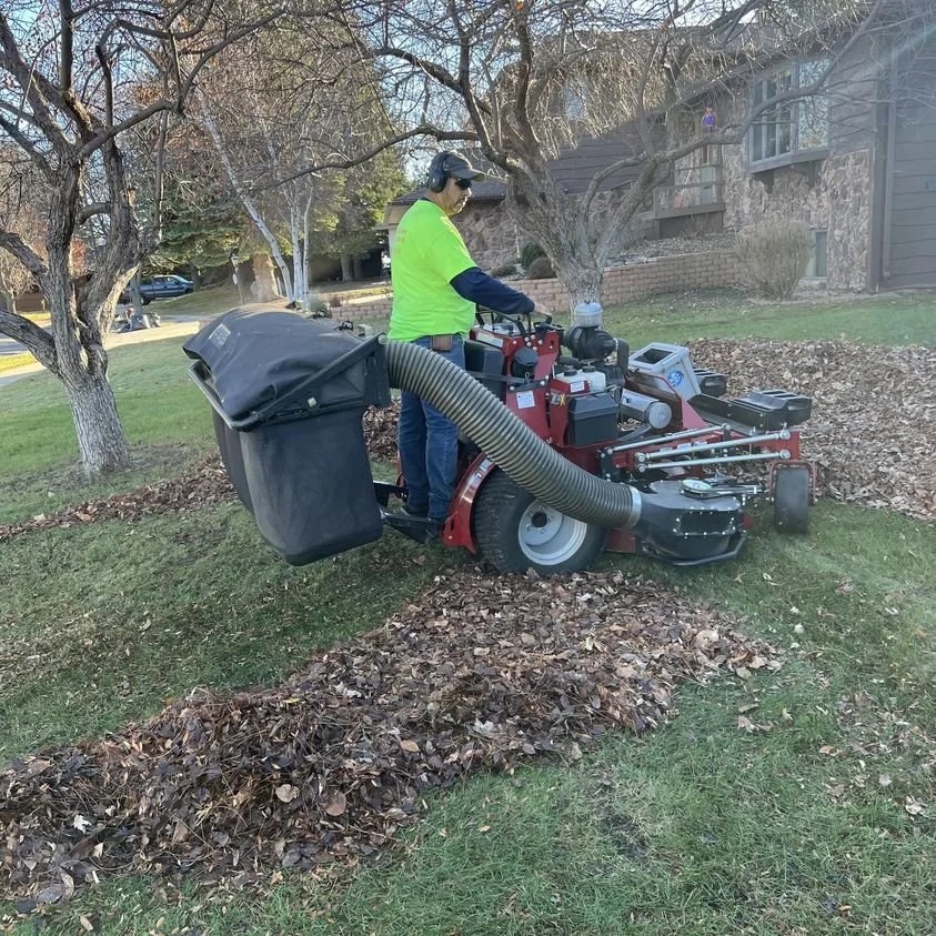 Fall Leaf Cleanup Service, Beulah