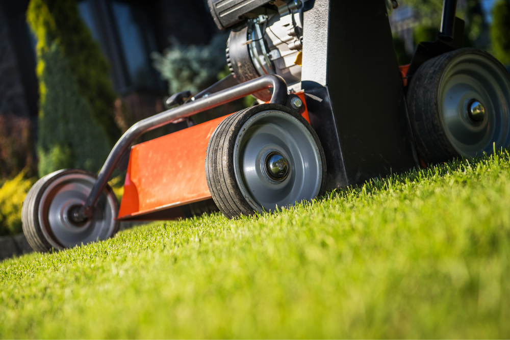 Lawn Aerating